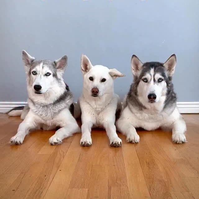  .....eteers   'recent posts' 