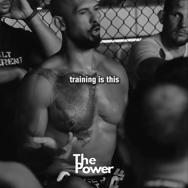  .........ftheminds   'recent posts' 