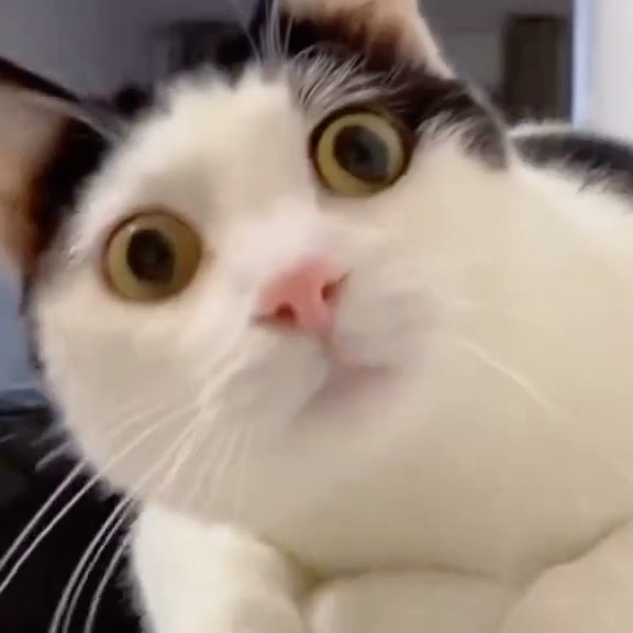  .....ns.hub   'recent posts' 