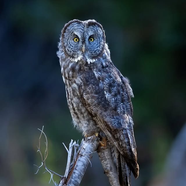  ........vacations   'recent posts' 