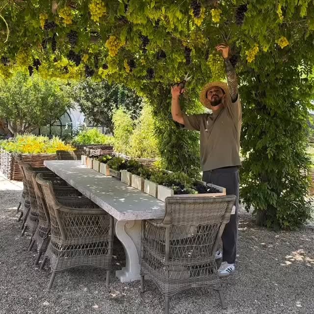  .......stpastry   'recent posts' 