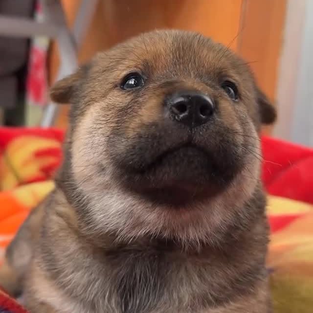  ......s.club   'recent posts' 