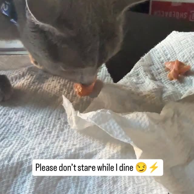  ......n_boris   'recent posts' 