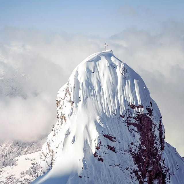  .........rancaises   'recent posts' 