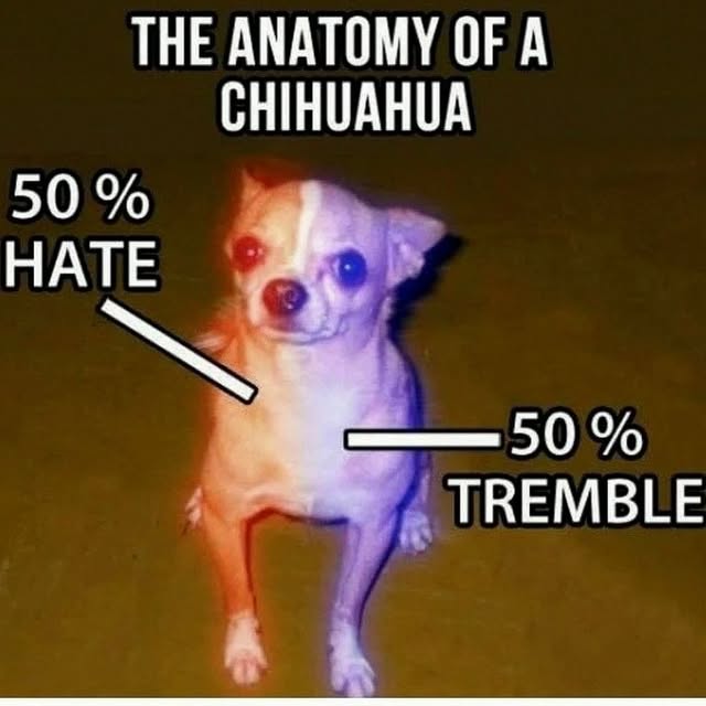  .......ndrulzz   'recent posts' 