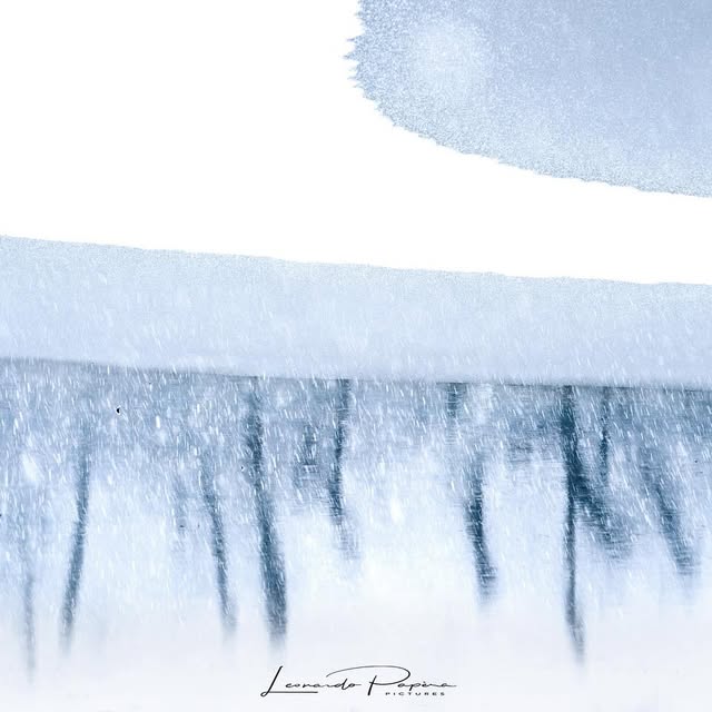  .......o.papera   'recent posts' 