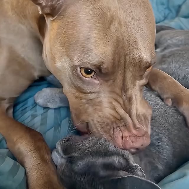  ........malsgram   'recent posts' 