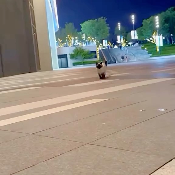  .....ns.hub   'recent posts' 