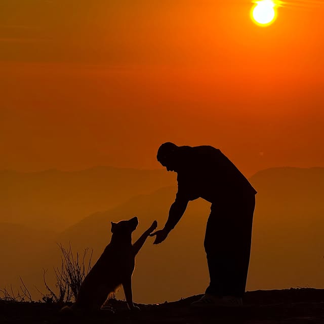  ......orrico   'recent posts' 