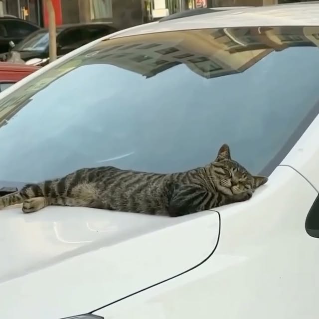  ......f_day_   'recent posts' 