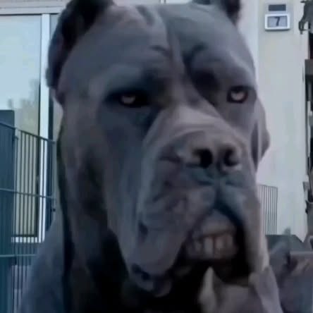  ........o.castle   'recent posts' 