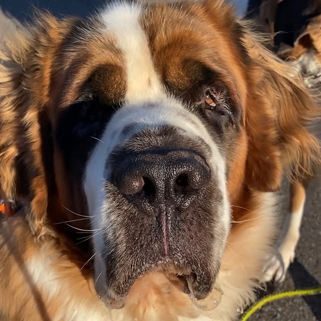  .........intbernard   'recent posts' 