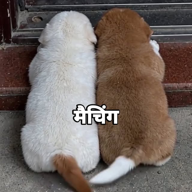  ......ustbin   'recent posts' 