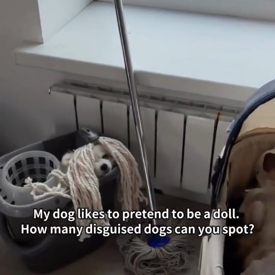  ......imalshq   'recent posts' 