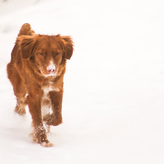  ......atoller   'recent posts' 