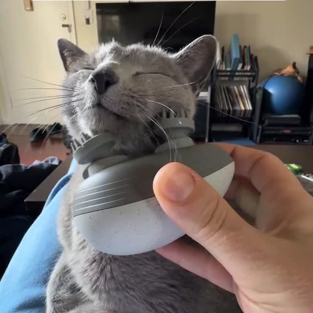  ......n_boris   'recent posts' 