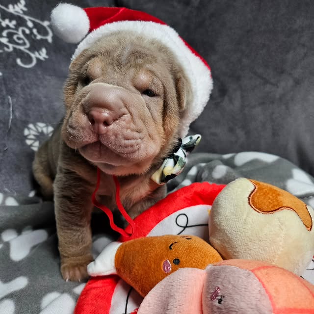  ......i.world   'recent posts' 