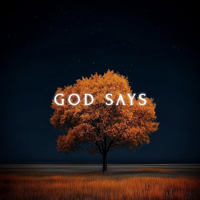  ...sayz   'recent posts' 