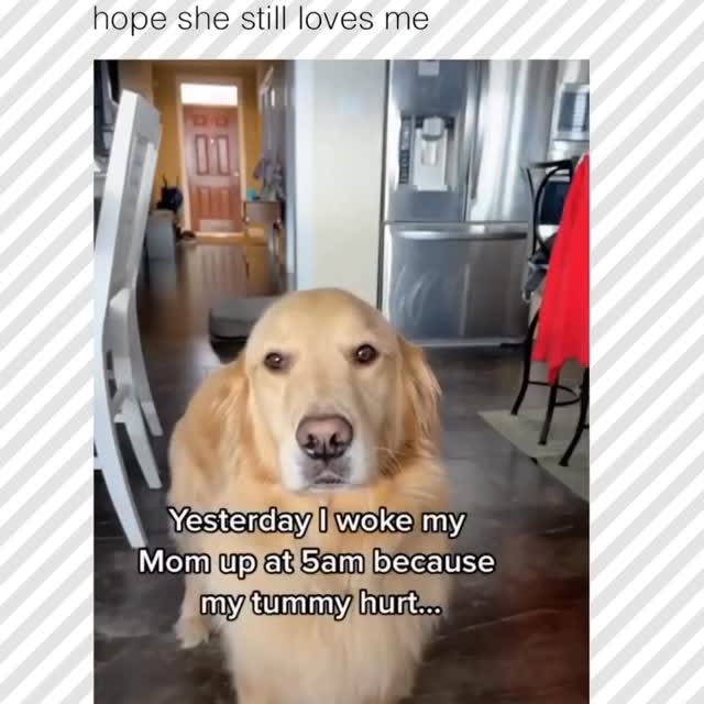  .....pawsz   'recent posts' 