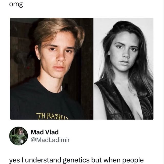  .....coptic   'recent posts' 