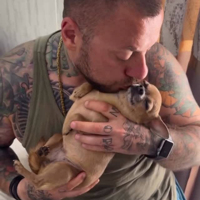  .......uapuppy   'recent posts' 