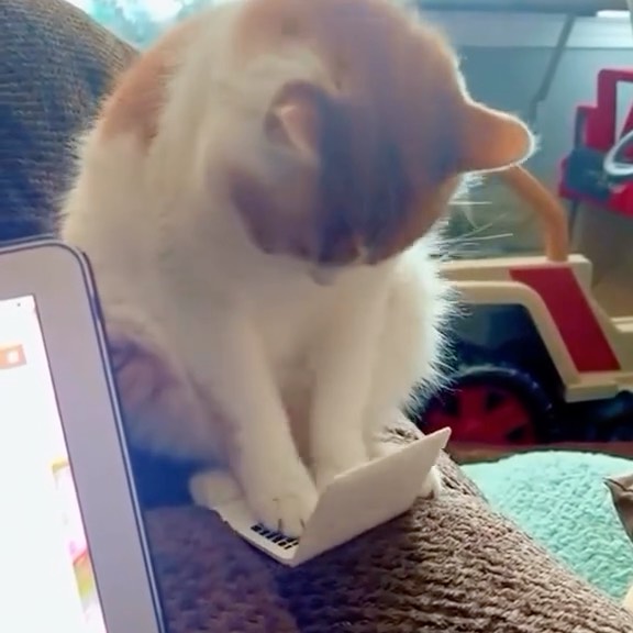  ......f_day_   'recent posts' 