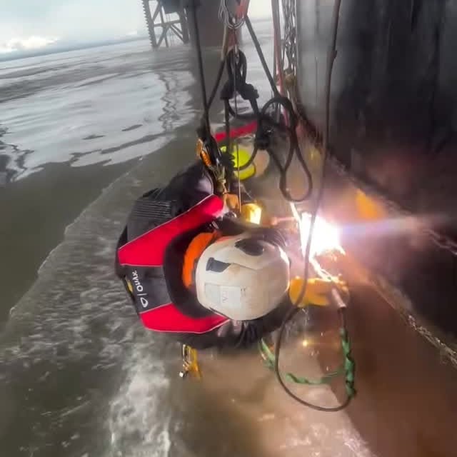  ......dworld   'recent posts' 