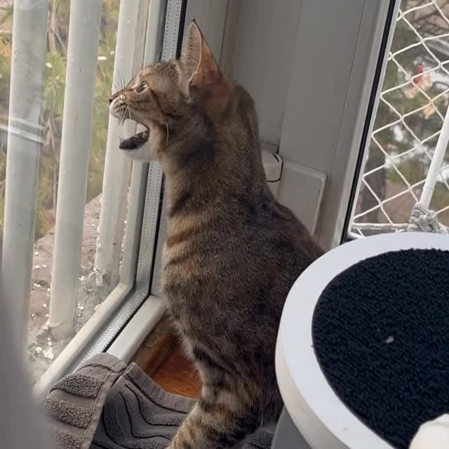  ......kekkek   'recent posts' 