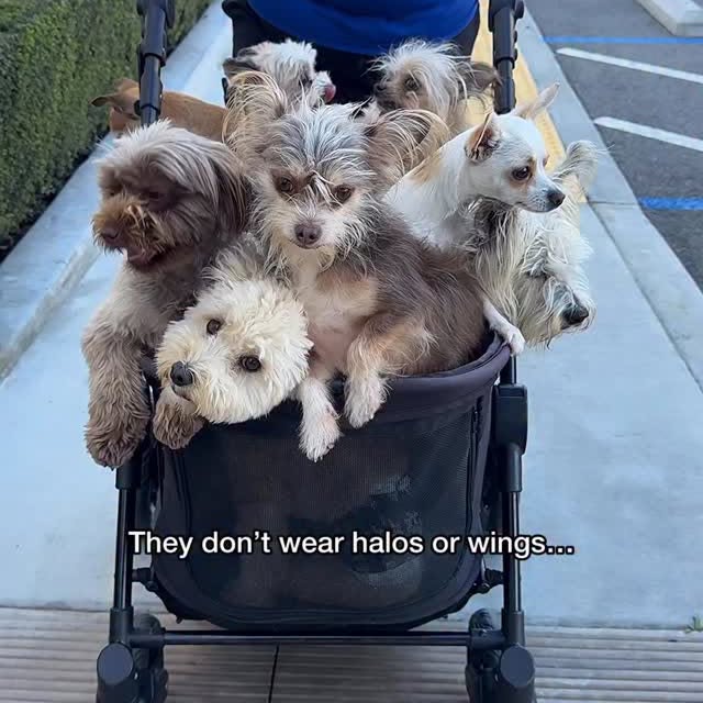  ........malsgram   'recent posts' 