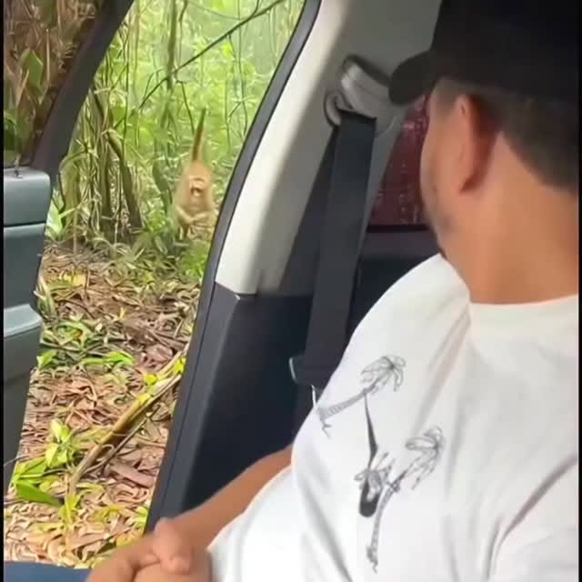  .....nly.ai   'recent posts' 