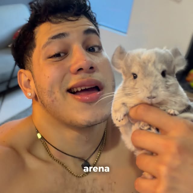  ........del_exito   'recent posts' 