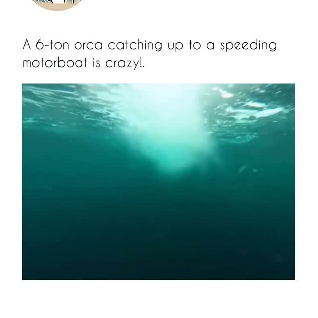  ..........nteresting   'recent posts' 