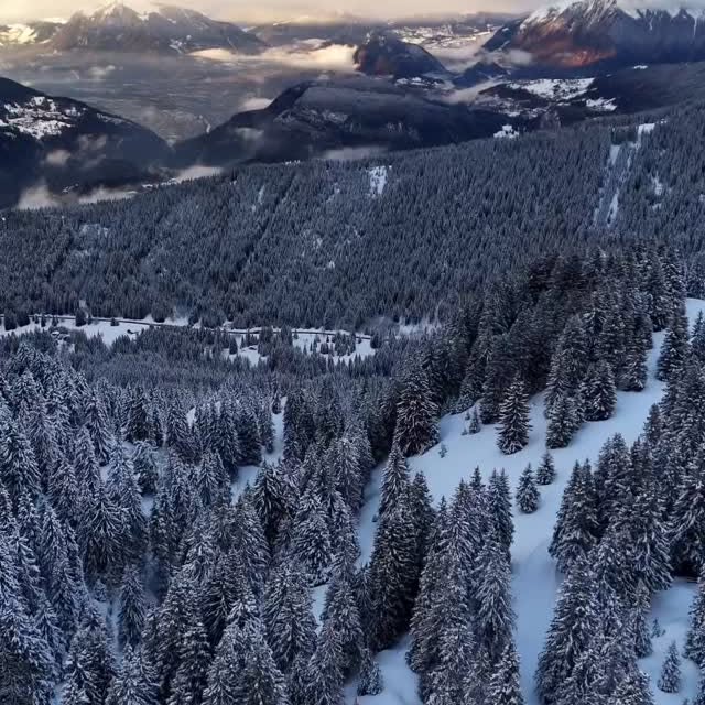  .........rancaises   'recent posts' 