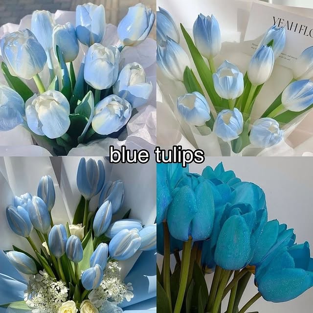  ......rlrise   'recent posts' 