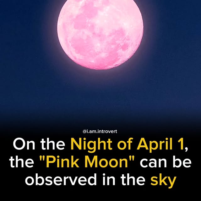  .......trovert   'recent posts' 