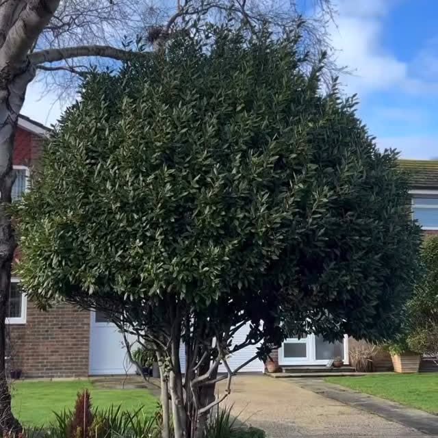  ...........es_promoter   'recent posts' 