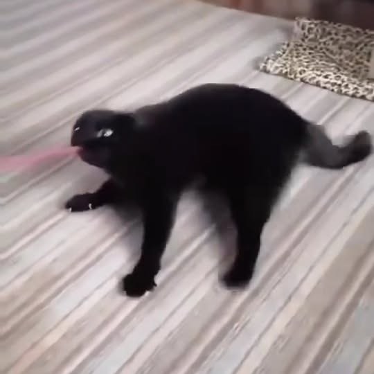  .......ats_club   'recent posts' 