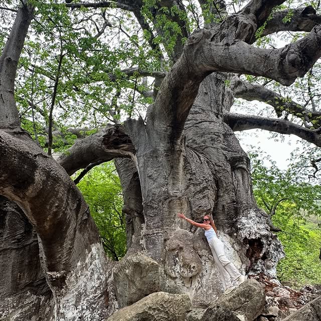  ......fitspo   'recent posts' 