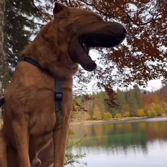  ......i.world   'recent posts' 