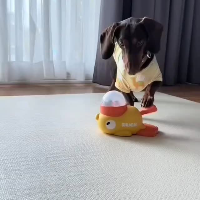  ..........fan.club_   'recent posts' 