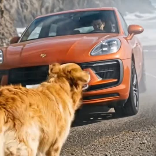  .......xplores   'recent posts' 