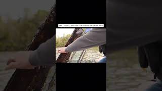  ...........with Purpose  'recent videos' 