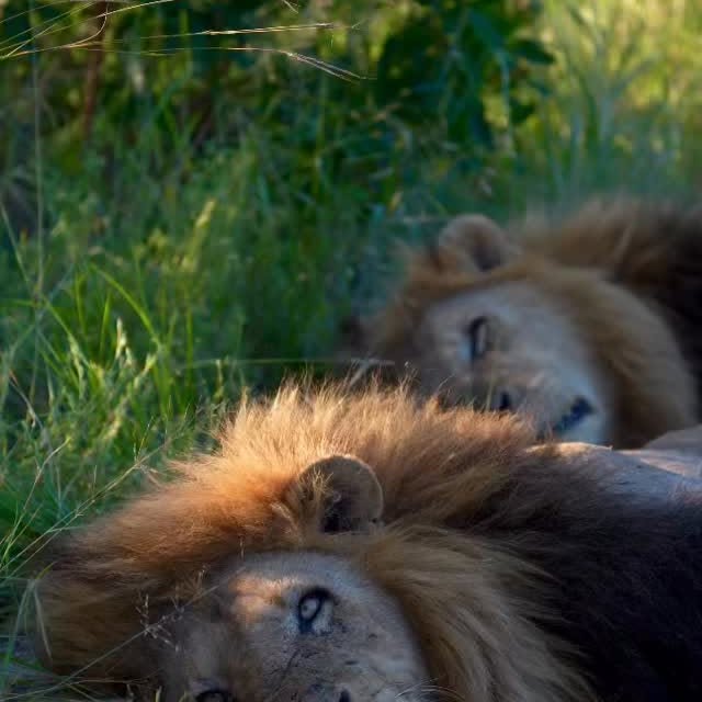  .........._sightings   'recent posts' 