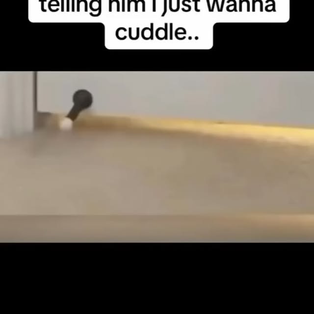  .....li9ht   'recent posts' 