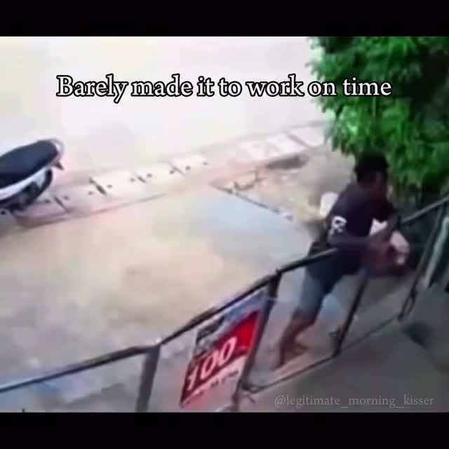  .....nimals   'recent posts' 