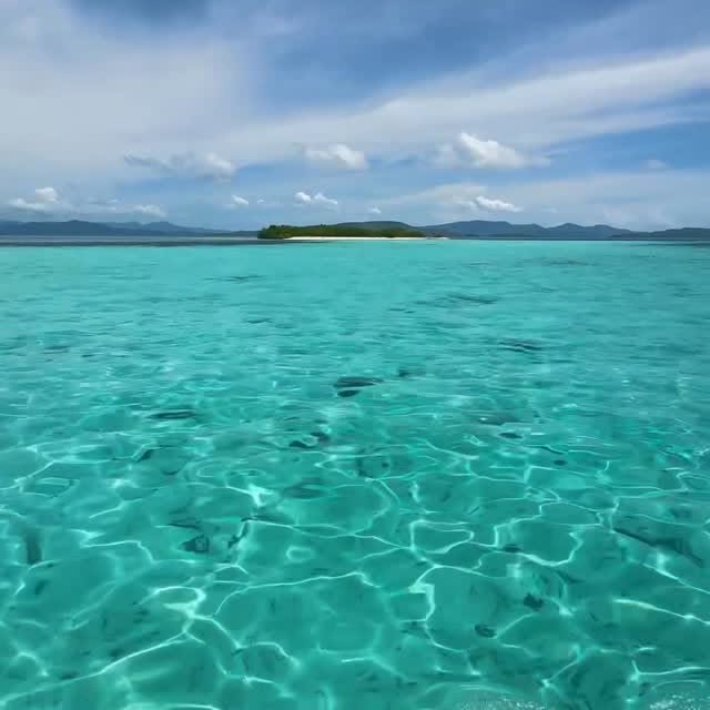  ......fitspo   'recent posts' 