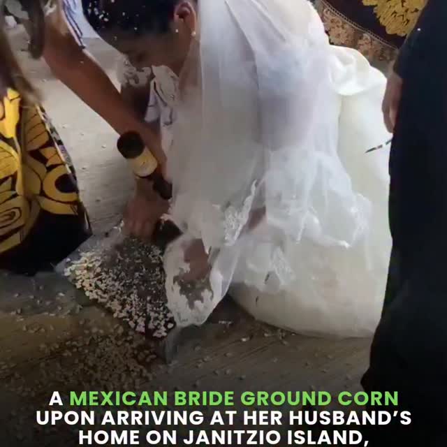  .........terslinked   'recent posts' 