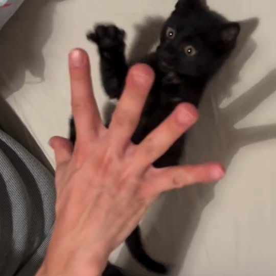  .......ats_club   'recent posts' 