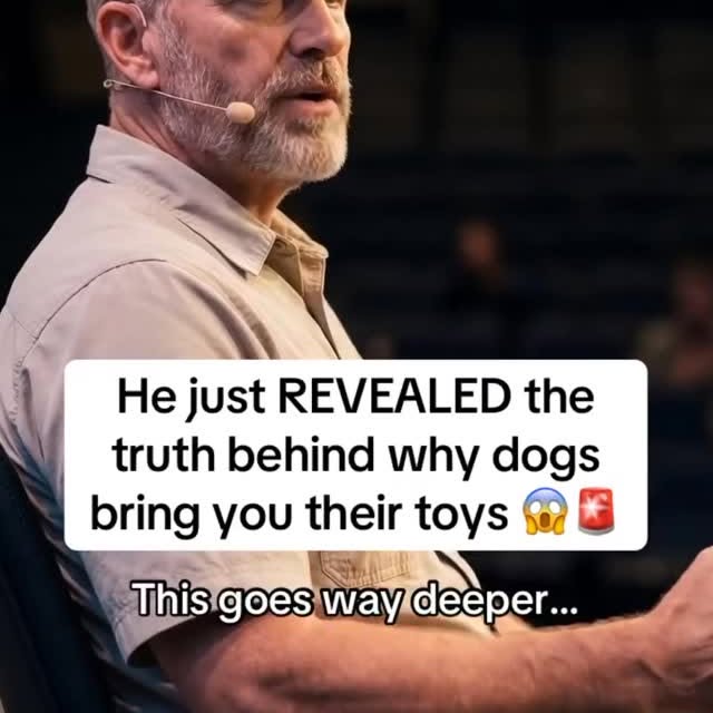  ..........n.retriever   'recent posts' 