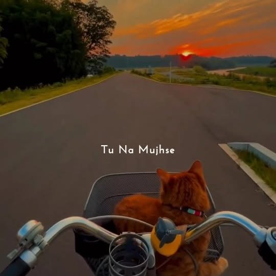  .....itss_   'recent posts' 